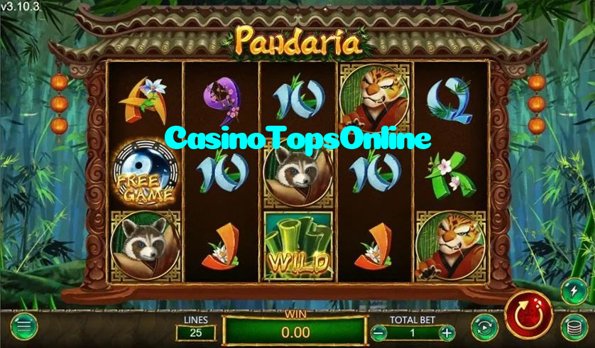 making first deposit on CasinoTopsOnline website using local payment methods in Pakistan
