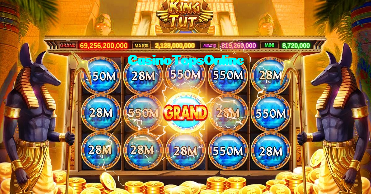 available types of CasinoTopsOnline bet including pre-match live express and system bets